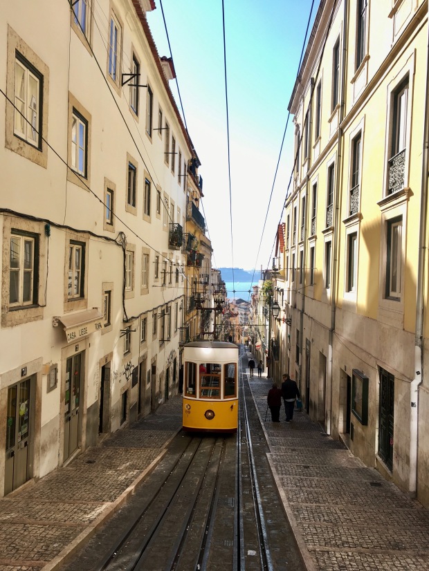 lisbon-tram 